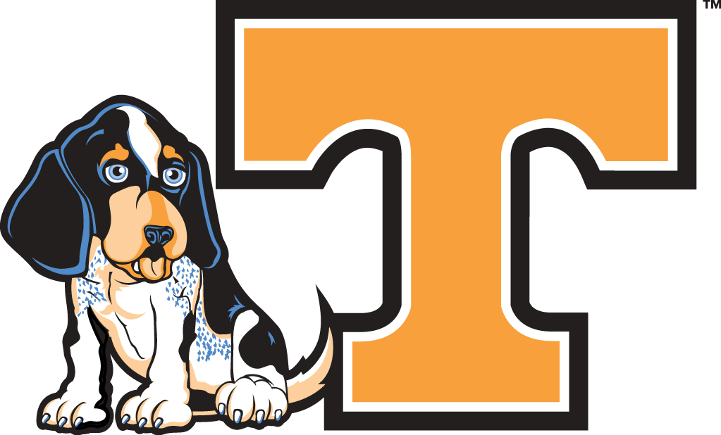 Tennessee Volunteers 2005-Pres Misc Logo diy iron on heat transfer
